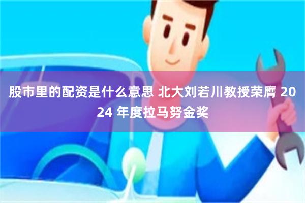 股市里的配资是什么意思 北大刘若川教授荣膺 2024 年度拉马努金奖