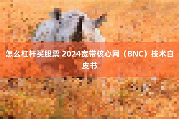 怎么杠杆买股票 2024宽带核心网（BNC）技术白皮书