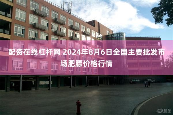 配资在线杠杆网 2024年8月6日全国主要批发市场肥膘价格行情