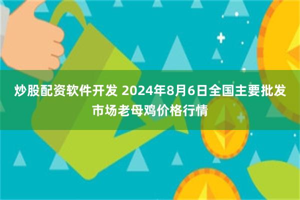 炒股配资软件开发 2024年8月6日全国主要批发市场老母鸡价格行情