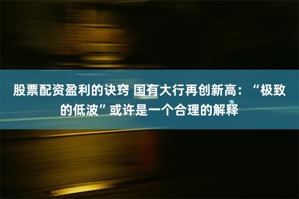 股票配资盈利的诀窍 国有大行再创新高：“极致的低波”或许是一个合理的解释