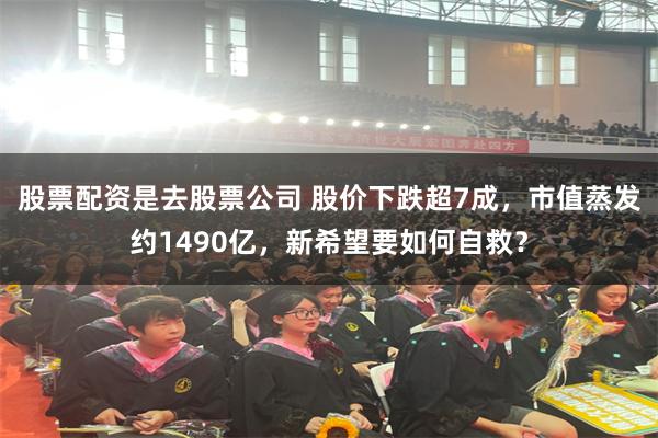 股票配资是去股票公司 股价下跌超7成，市值蒸发约1490亿，新希望要如何自救？