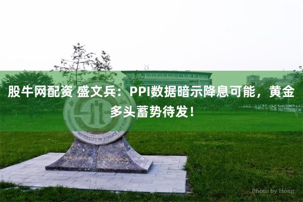 股牛网配资 盛文兵：PPI数据暗示降息可能，黄金多头蓄势待发！