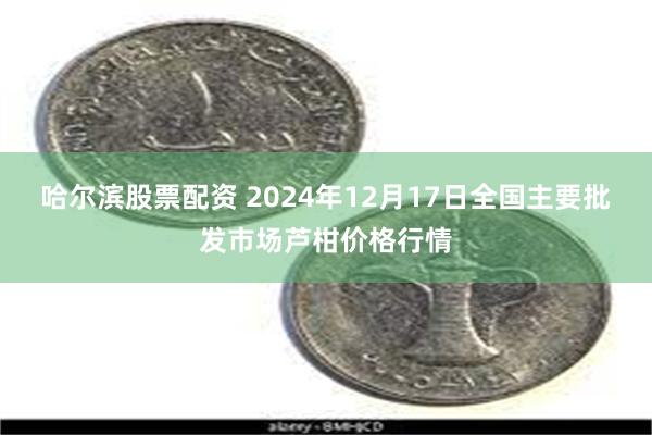 哈尔滨股票配资 2024年12月17日全国主要批发市场芦柑价格行情