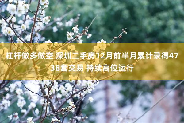 杠杆做多做空 深圳二手房12月前半月累计录得4738套交易 持续高位运行