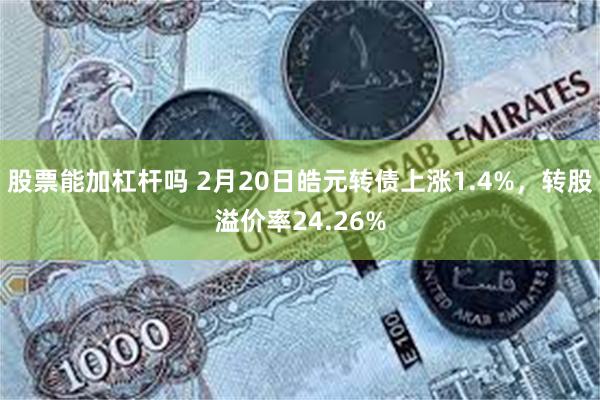 股票能加杠杆吗 2月20日皓元转债上涨1.4%，转股溢价率24.26%