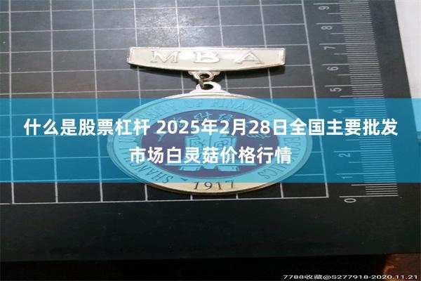 什么是股票杠杆 2025年2月28日全国主要批发市场白灵菇价格行情